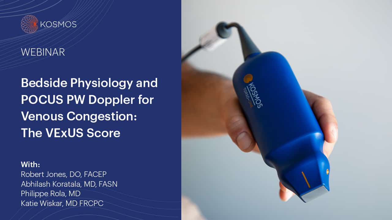 Bedside Physiology and POCUS PW Doppler for VExUS