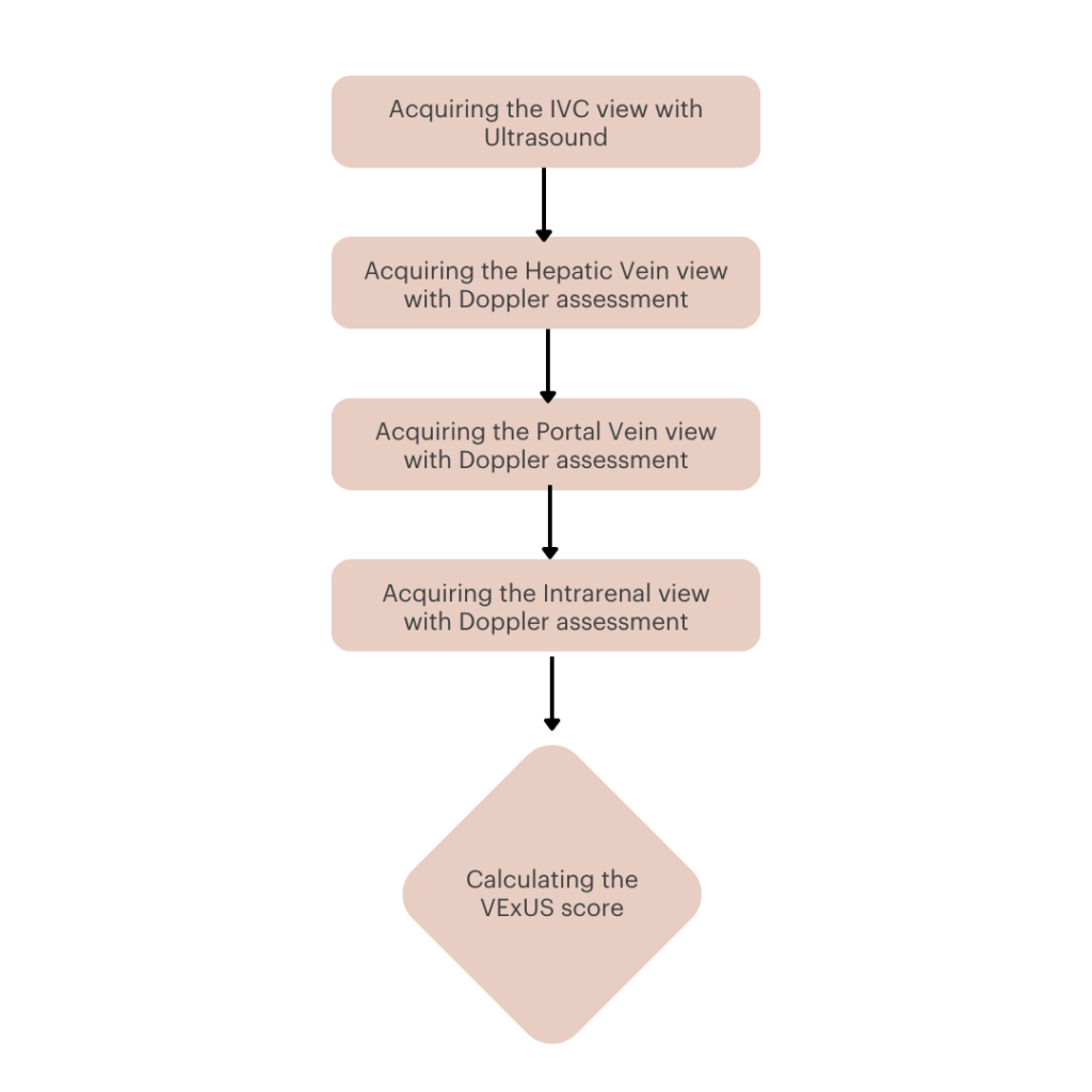 VExUS Workflow